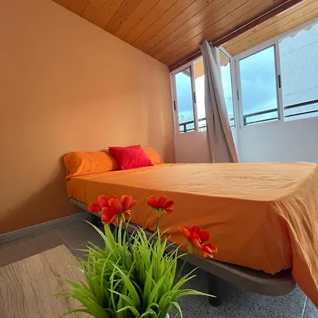 Casa Tenesor Las Palmas de Gran Canaria